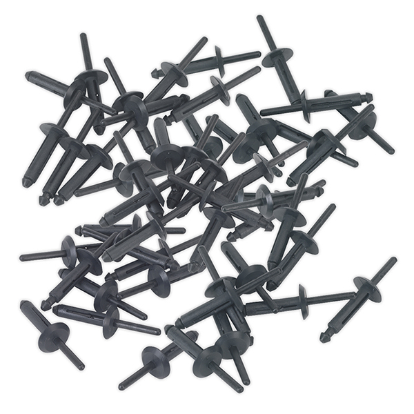 Sealey PR002 Plastic Rivet 6.3 x 25.2mm Pack of 50